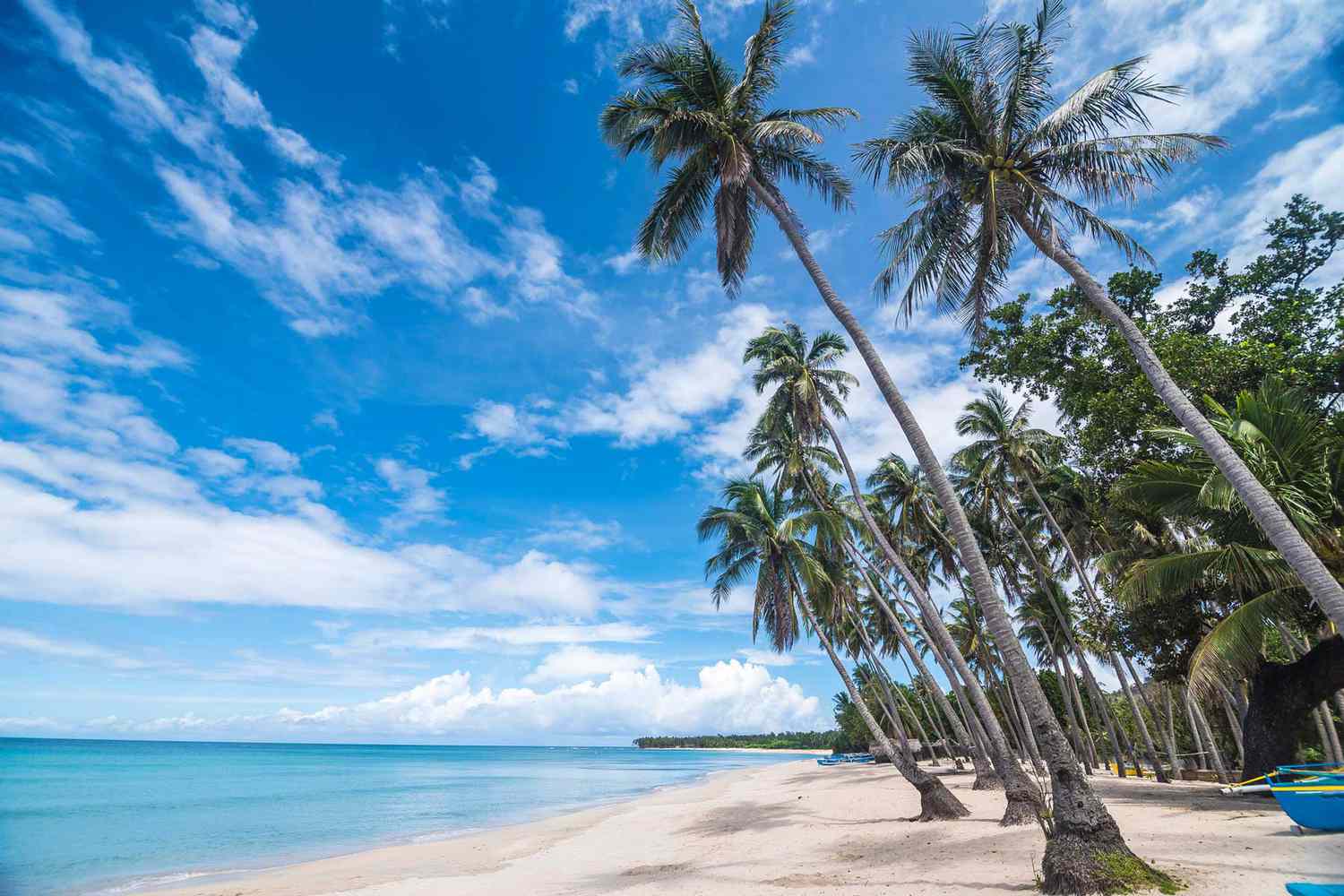Tropical beach paradise with coconut palm trees, white sand, and crystal clear turquoise water